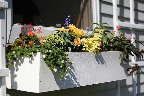 DIY_WindowBox.jpg