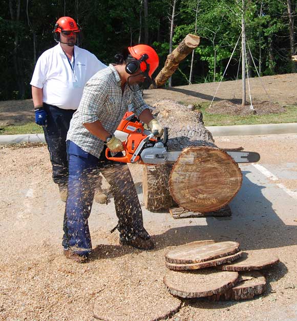 The Best Battery Chainsaws in 2024, According to Testing - Bob Vila