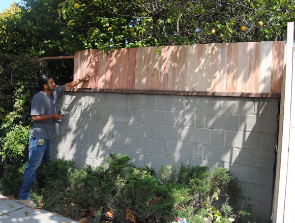 Raise the Height of Your Backyard Wall by Adding a Fence