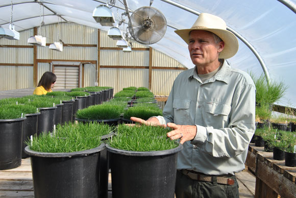 Seed For Yourself: A Visit to the Grass Seed Capital of the World