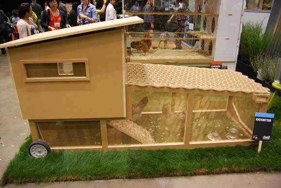 modern-chicken-coop.jpg