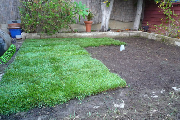 How to Lay Sod Grass In Time for Spring