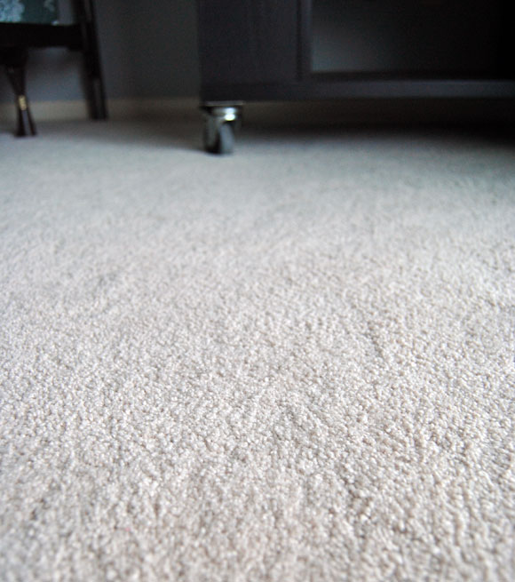 stainmaster-carpet.jpg