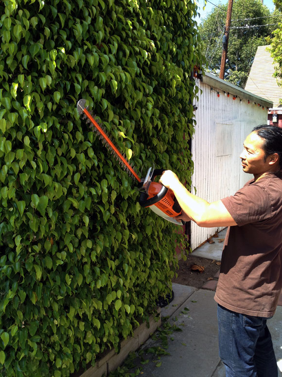 Stihl cordless hedge trimmer reviews hot sale