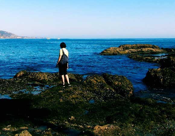 How to Explore Tide Pools (Responsibly)