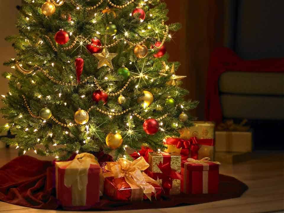 preserve-christmas-tree