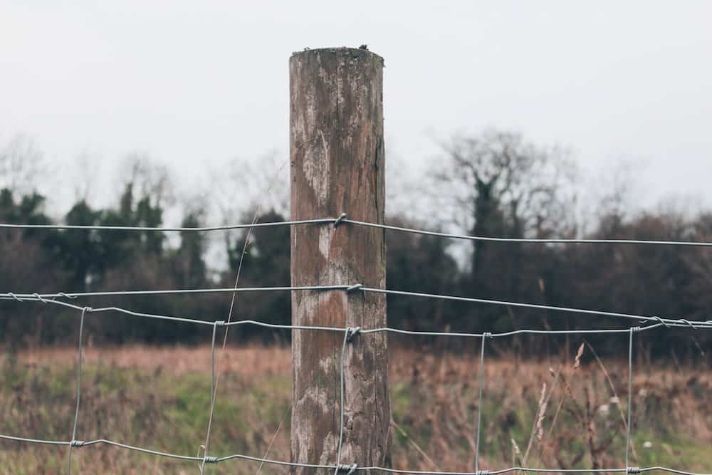 Fence Repair: How to Get a Fence Post Out of the Ground