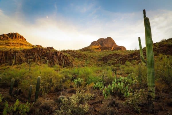 Why I Love Tucson, Arizona