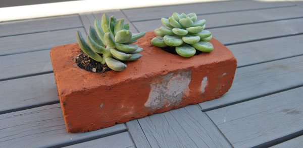 succulent-planters