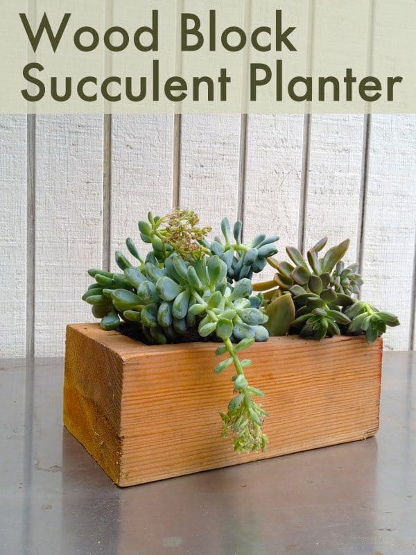 wood-block-succulent-planter