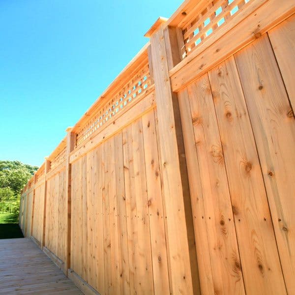 cedar-fence