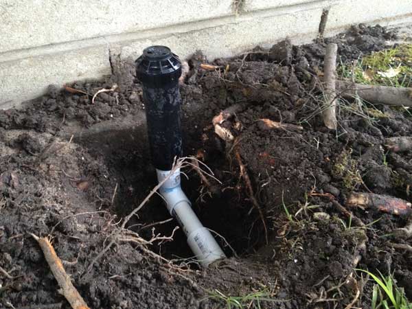 sprinkler-head-installed