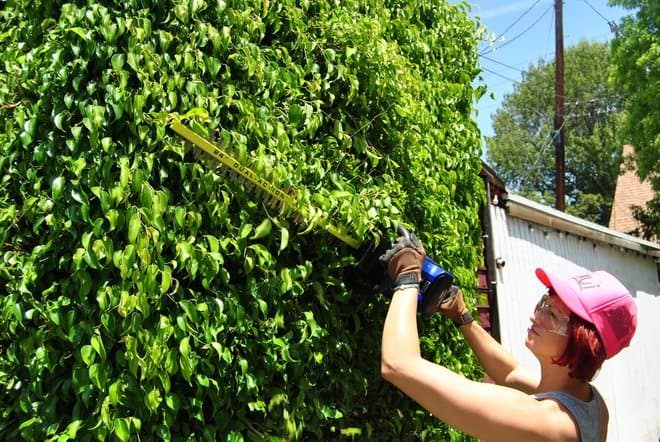 Trimming the Hedge