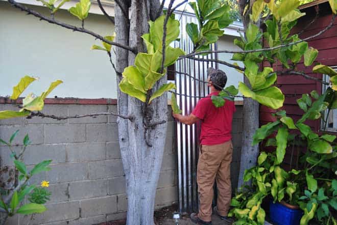 privacy-fence-install