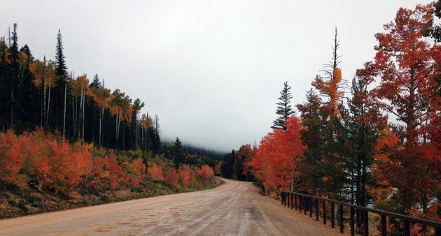 fall-colors-utah