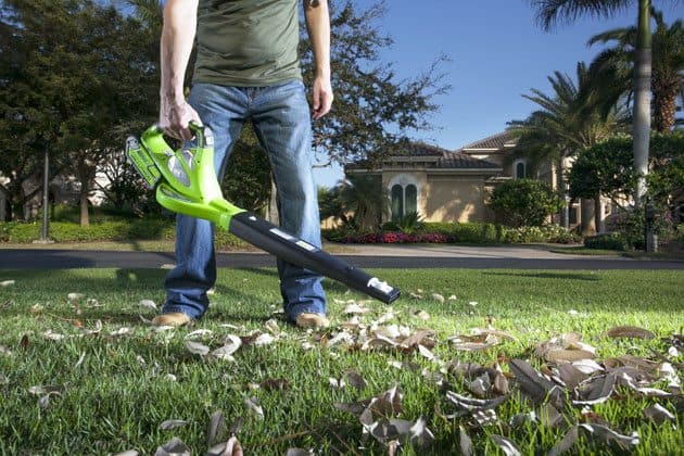 Best Battery-Powered Garden Tools