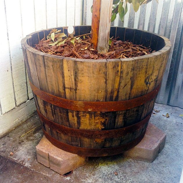 whiskey-barrel-planter