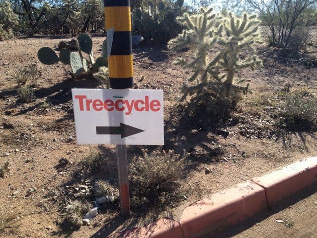 treecycle-desert