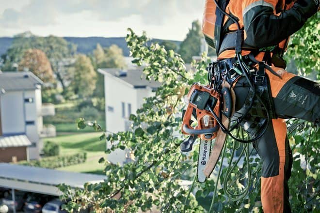 Arborist with battery top handle chainsaw - T536Li XP - attached to belt while climbing