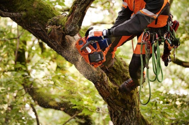 Arborist working with battery top handle chainsaw T536Li XP