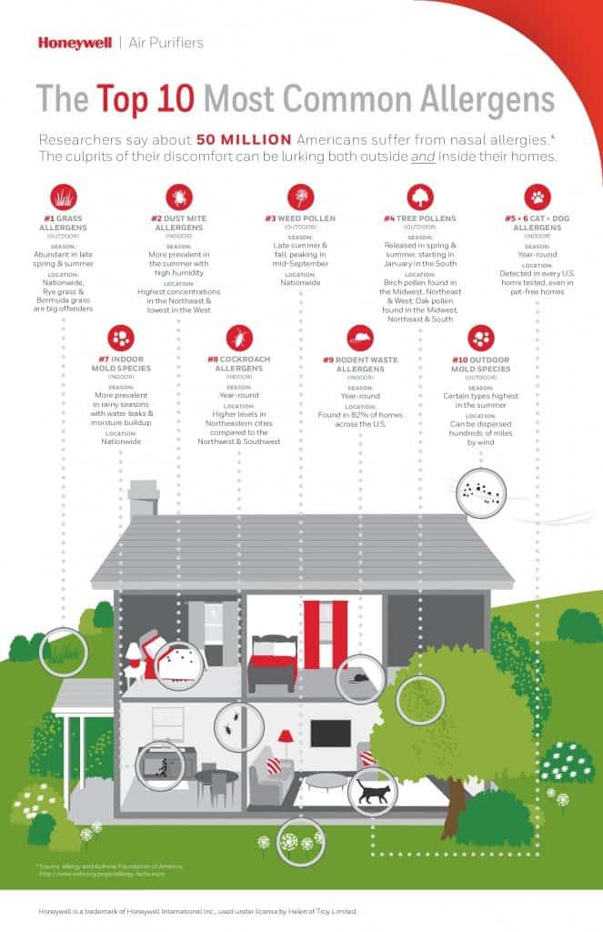 Top 10 Allergies From Your Home (Infographic)