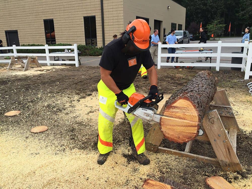 stihl cordless chainsaw