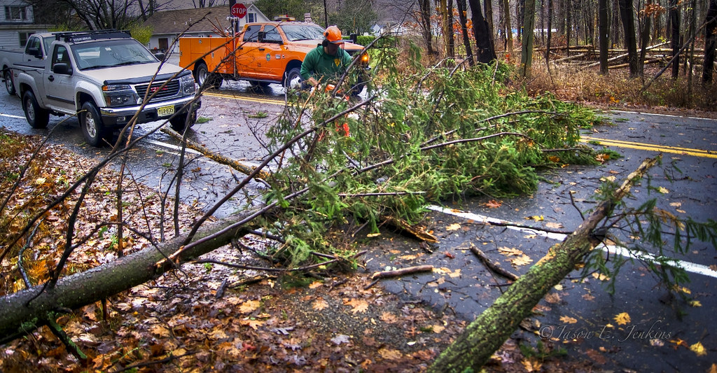 storm cleanup