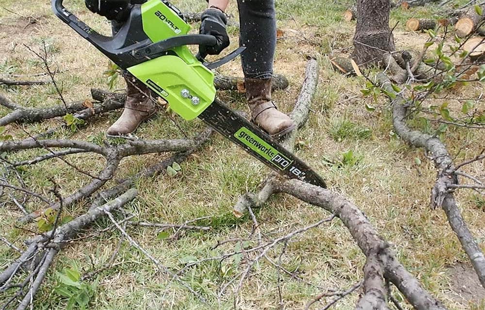 limbing branches