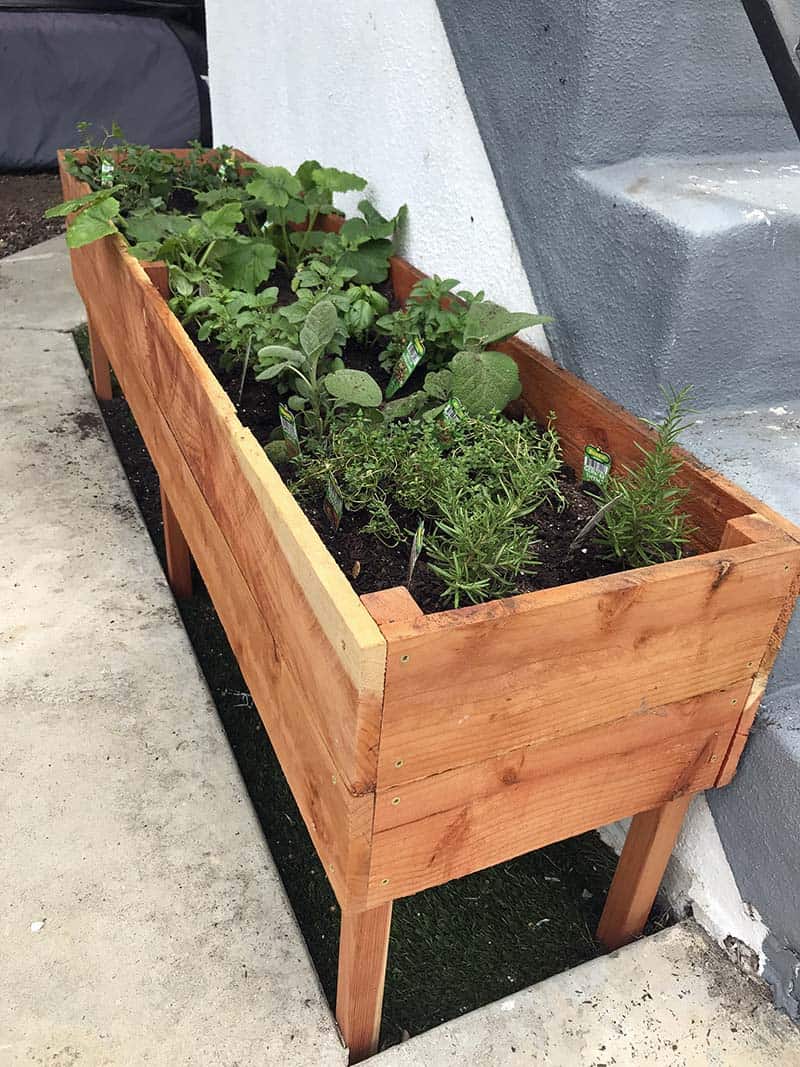 I transformed my cheap black planters into a chic wooden box for FREE, hereâ€™s how