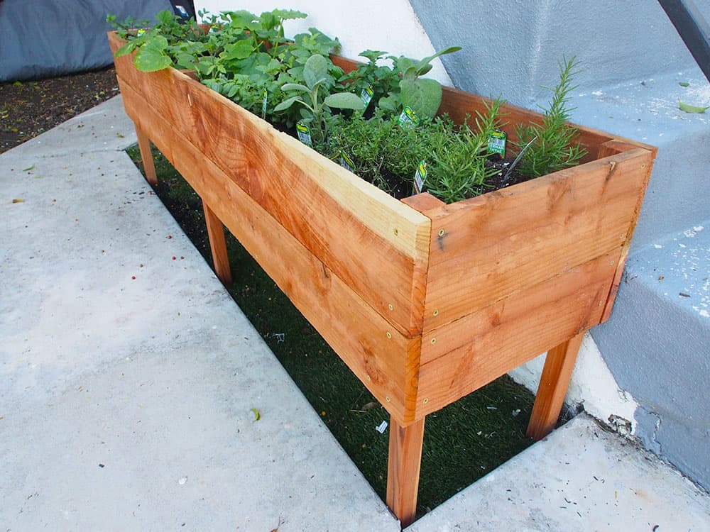 raised planter box