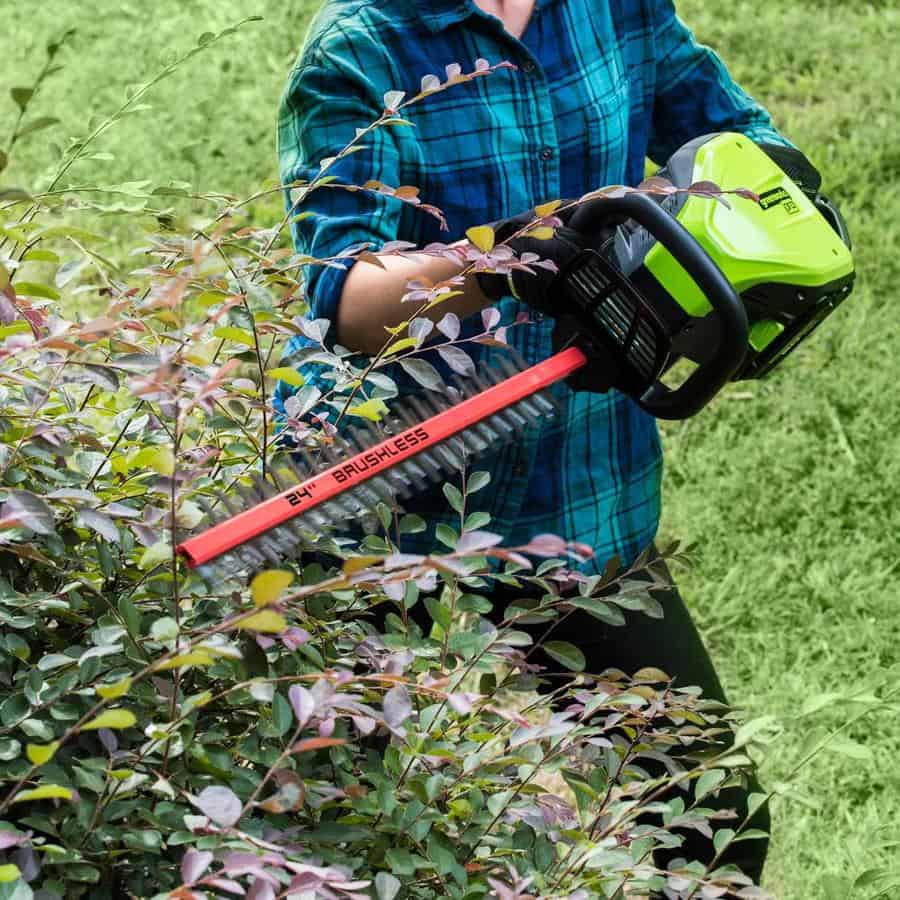greenworks hedge trimmer