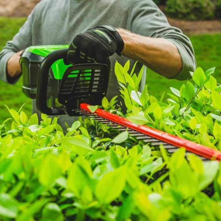 Greenworks Hedge Trimmer