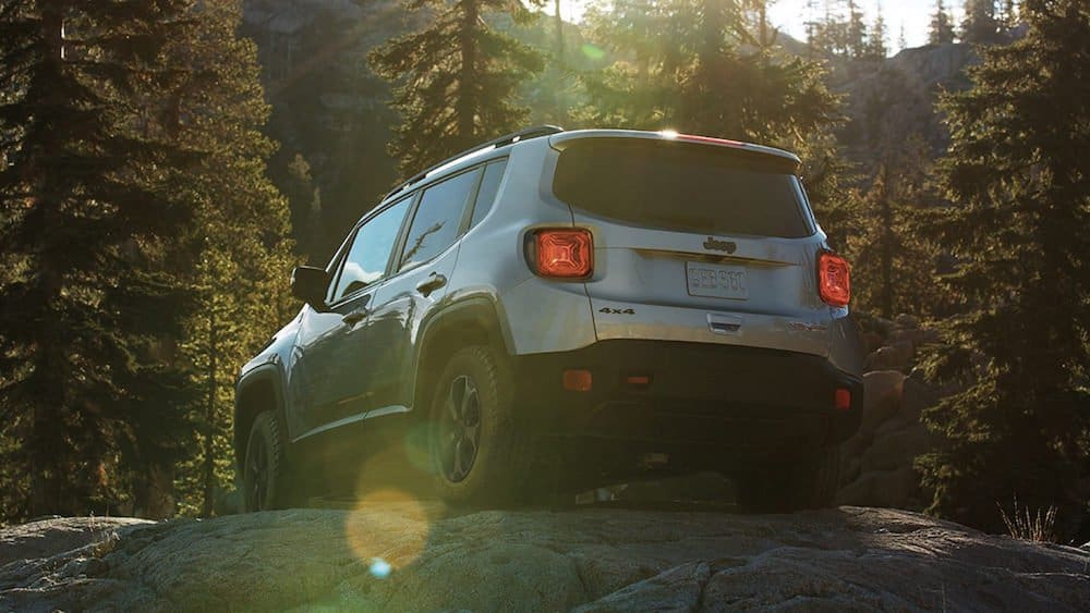 2019 Jeep Renegade Gallery Capability Trailhawk Rear Forest.jpg.image .2880