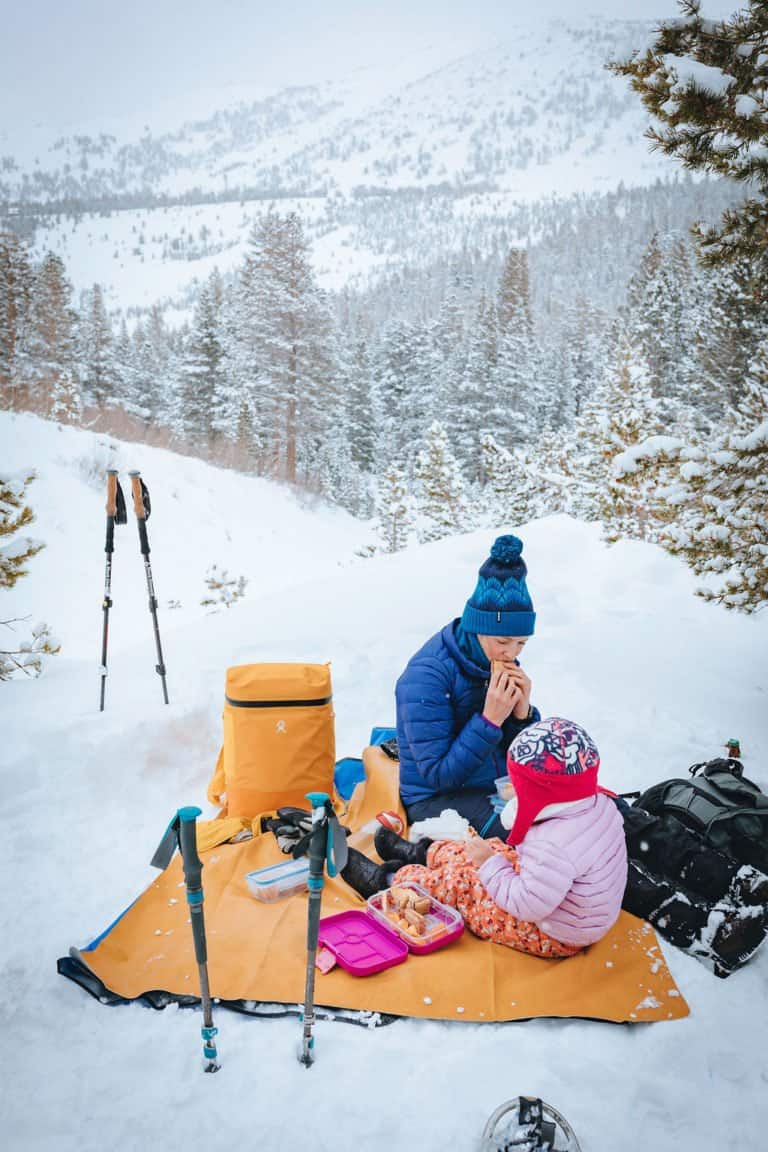 Hydro Flask Soft Cooler Backpack