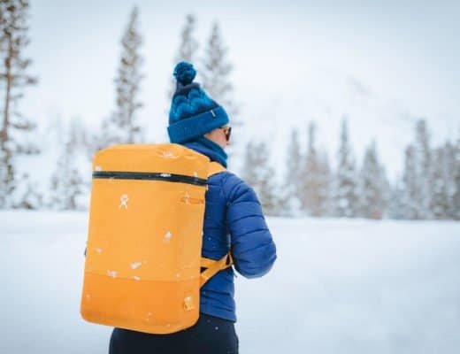 hydro flask backpack cooler