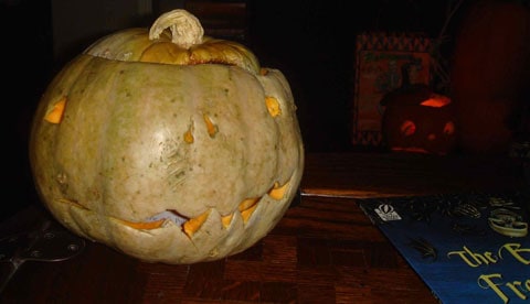 matthew gray gubler pumpkin