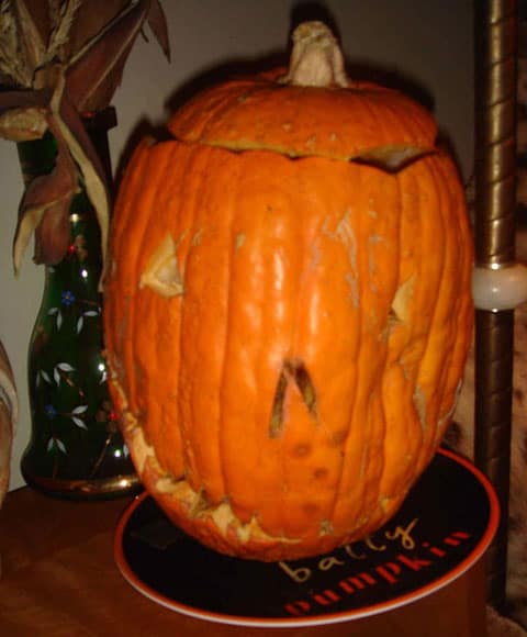 matthew gray gubler pumpkin1