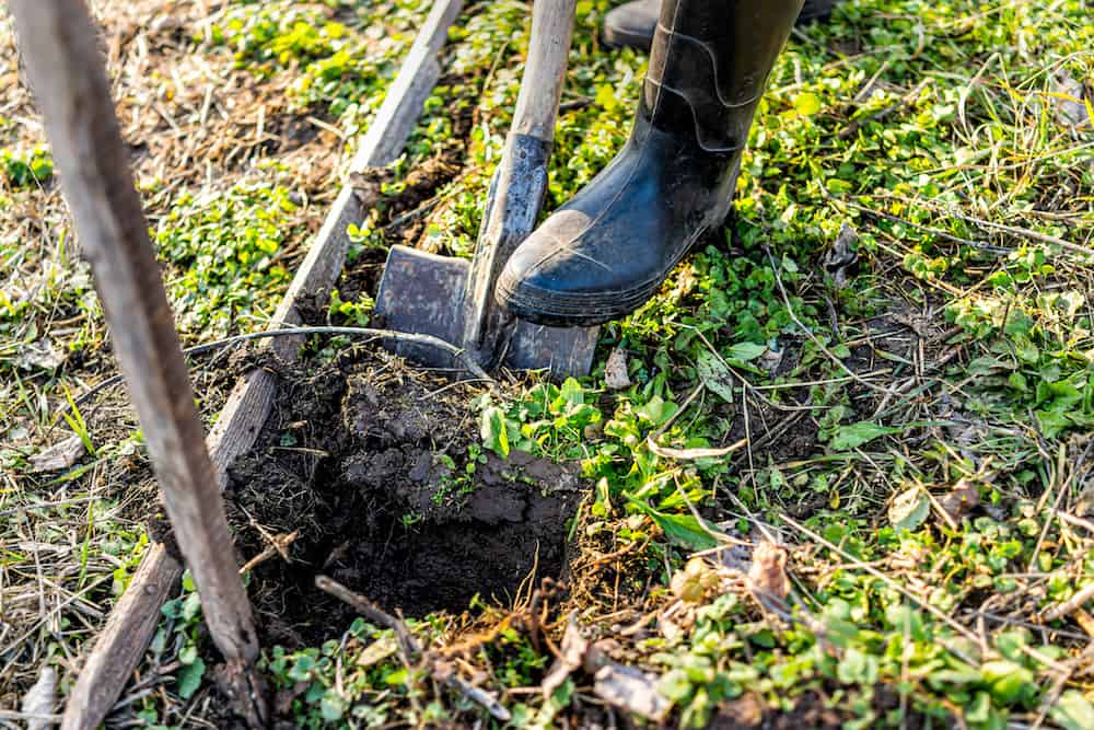 digging a hole with a shovel