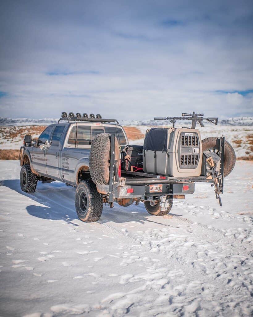 Traveling with dogs in hotsell truck bed