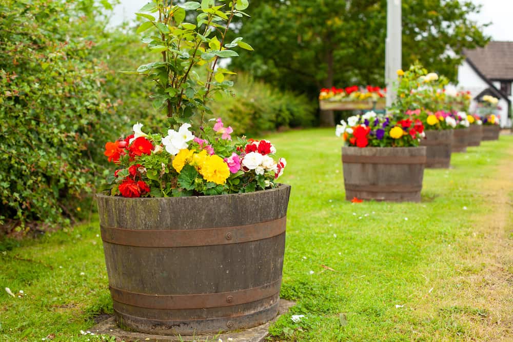 How-To Prepare a Whiskey Barrel for Planting