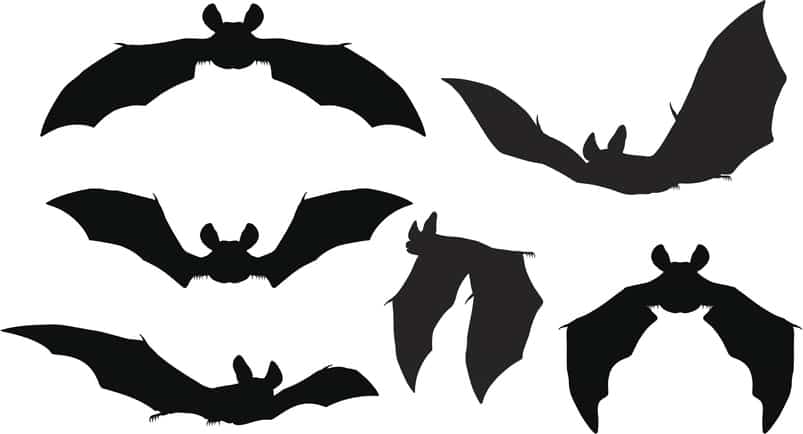 halloween silhouettes 164548959