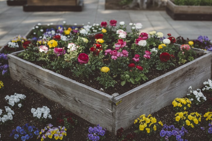 raised planter box 1151986575