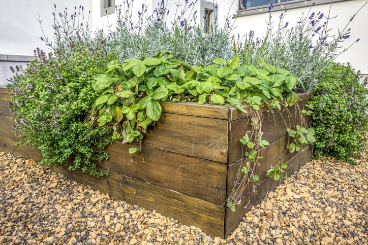 raised planter box 1205918309