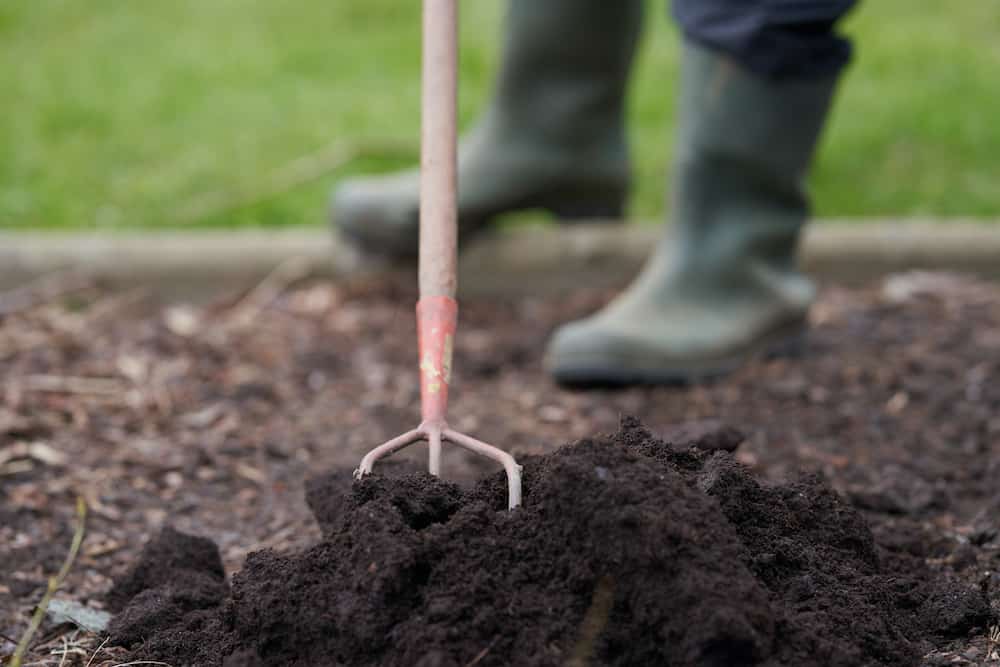 what are the benefits of mulching