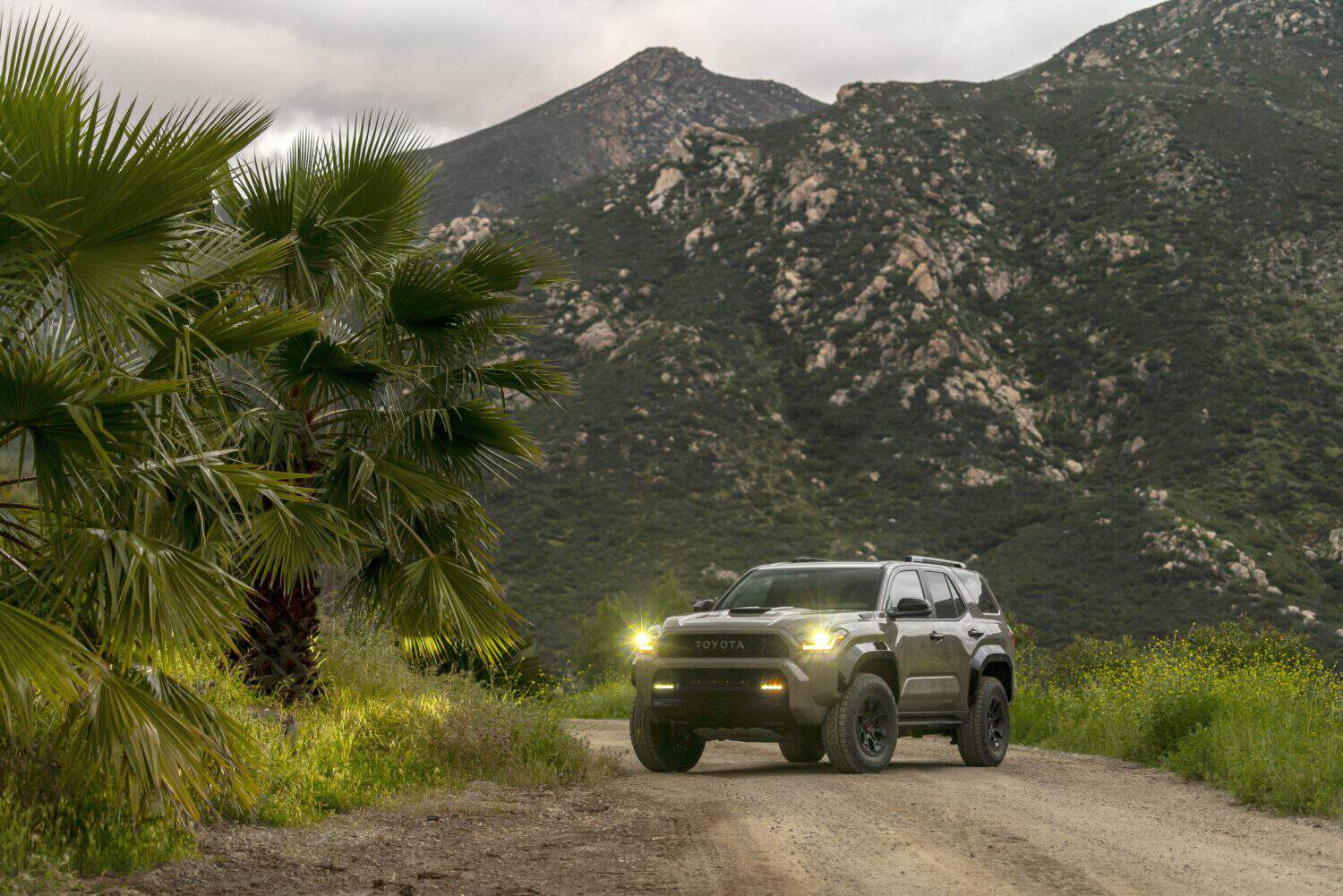 Meet the 2025 Toyota 4Runner A New Chapter for Rugged Family