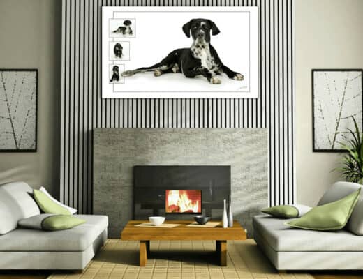 Modern living room with couches and fireplace showcasing 3D panel upgrade