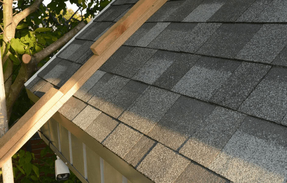 damaged shingles