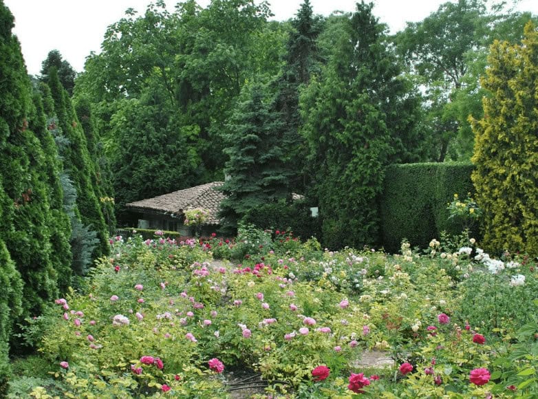 garden designs