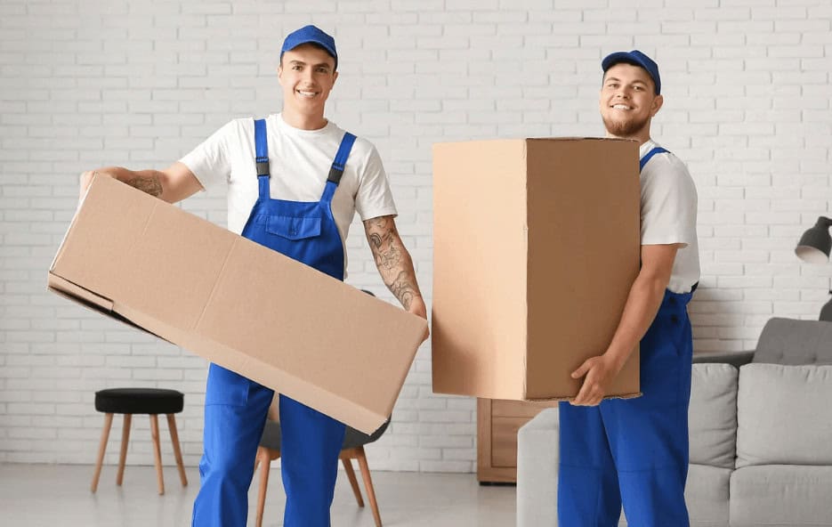 professional movers