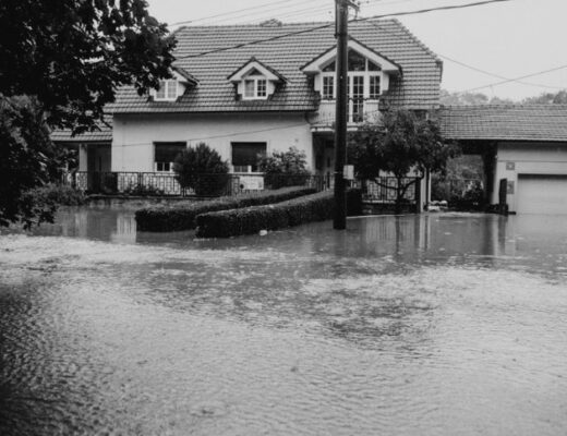 Water Damage Restoration: How Homeowners Can Recover Quickly After a Flood 29 water damage restoration